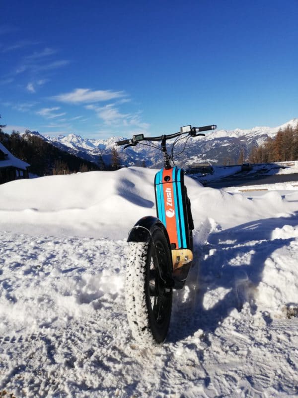 Best Electric Scooter for Snow | Zosh